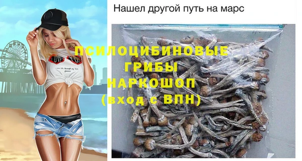 ГАЛЛЮЦИНОГЕННЫЕ ГРИБЫ Абдулино
