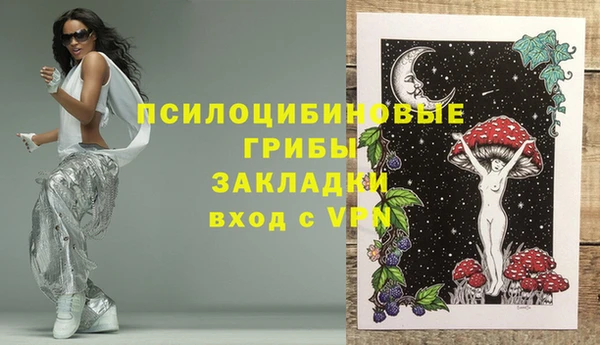 spice Алексеевка